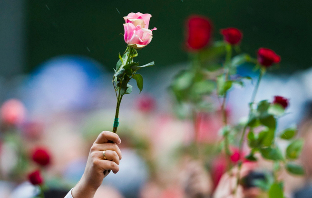 Armer som holder opp roser. Foto.