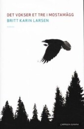 Det vokser et tre i Mostamägg Bokforside. Foto.