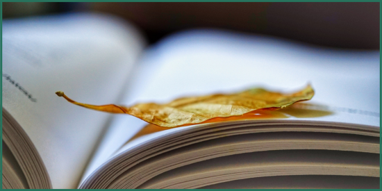 Boksider oppslått og et høstblad. foto.