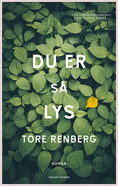 Du er så lys. Bokforside. Foto.